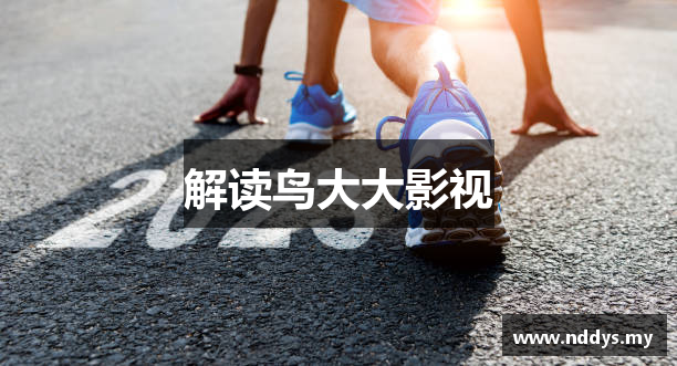 解读鸟大大影视